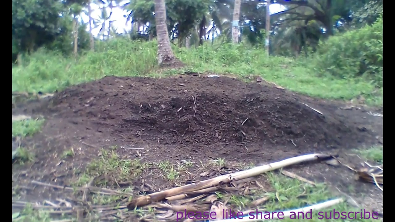 ITO NA ANG PINAKAMARAMING ULING SA MUNDO.Ang Tamang Proseso Kung Paano Mag Uling ng Bao ng Niyog