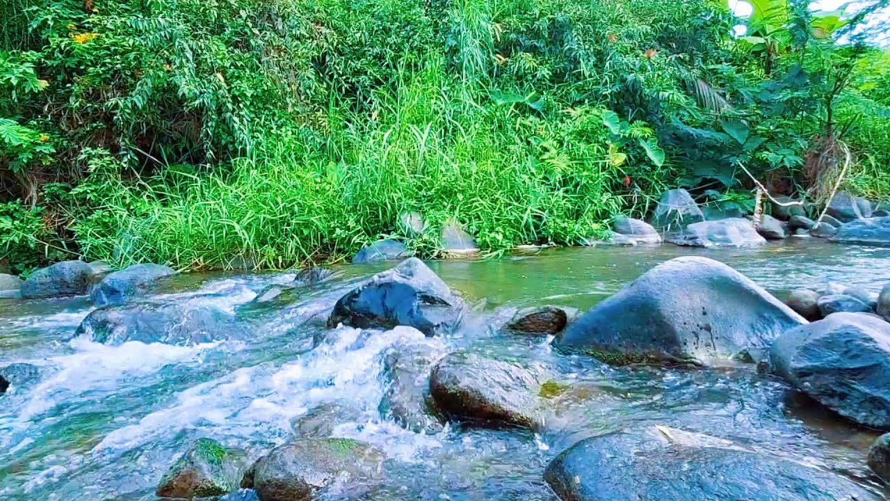 Peaceful River Sounds for Evening Rest