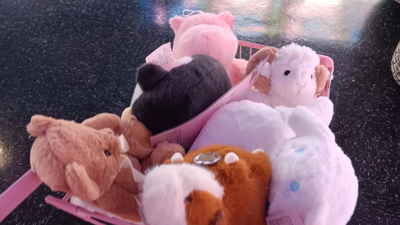 catch win haul!! (Ft:MYSELF) 