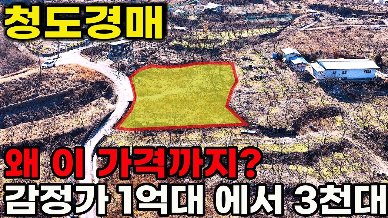 청도 땅 경매 금천면 오봉리 367평 감정가 1억 4차 최저가 3,500만원 대 주말농장 이번이 기회