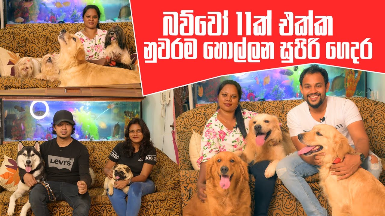 බව්වෝ 11ක් එක්ක නුවරම හොල්ලන සුපිරි ගෙදර | Pet Talk