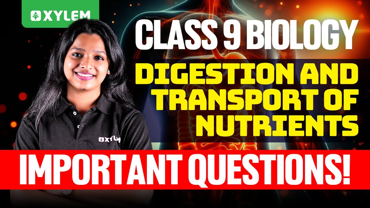 Class 9 Biology - Digestion and Transport of Nutrients - Important Questions | Xylem Class 9