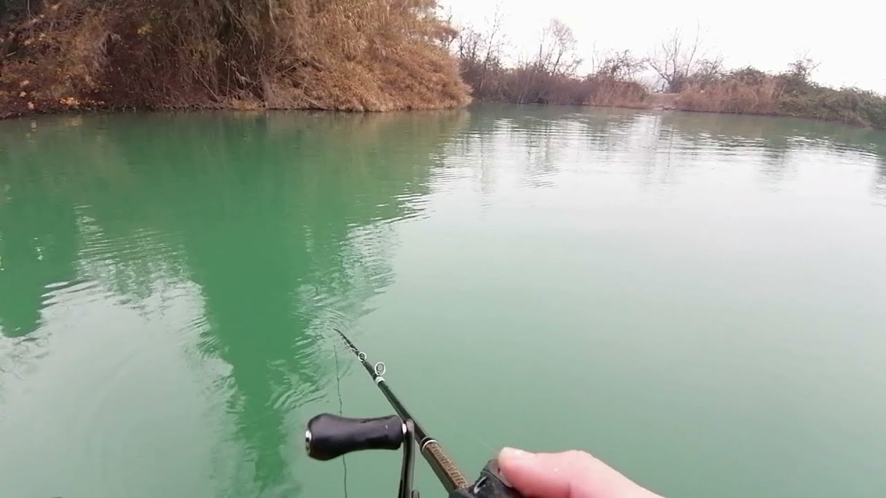 GIORNATA A LUCCI AL PREDATOR