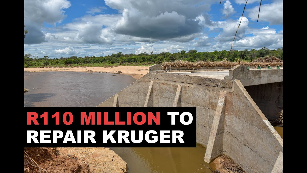 Kruger National Park damage costs start from R110 million