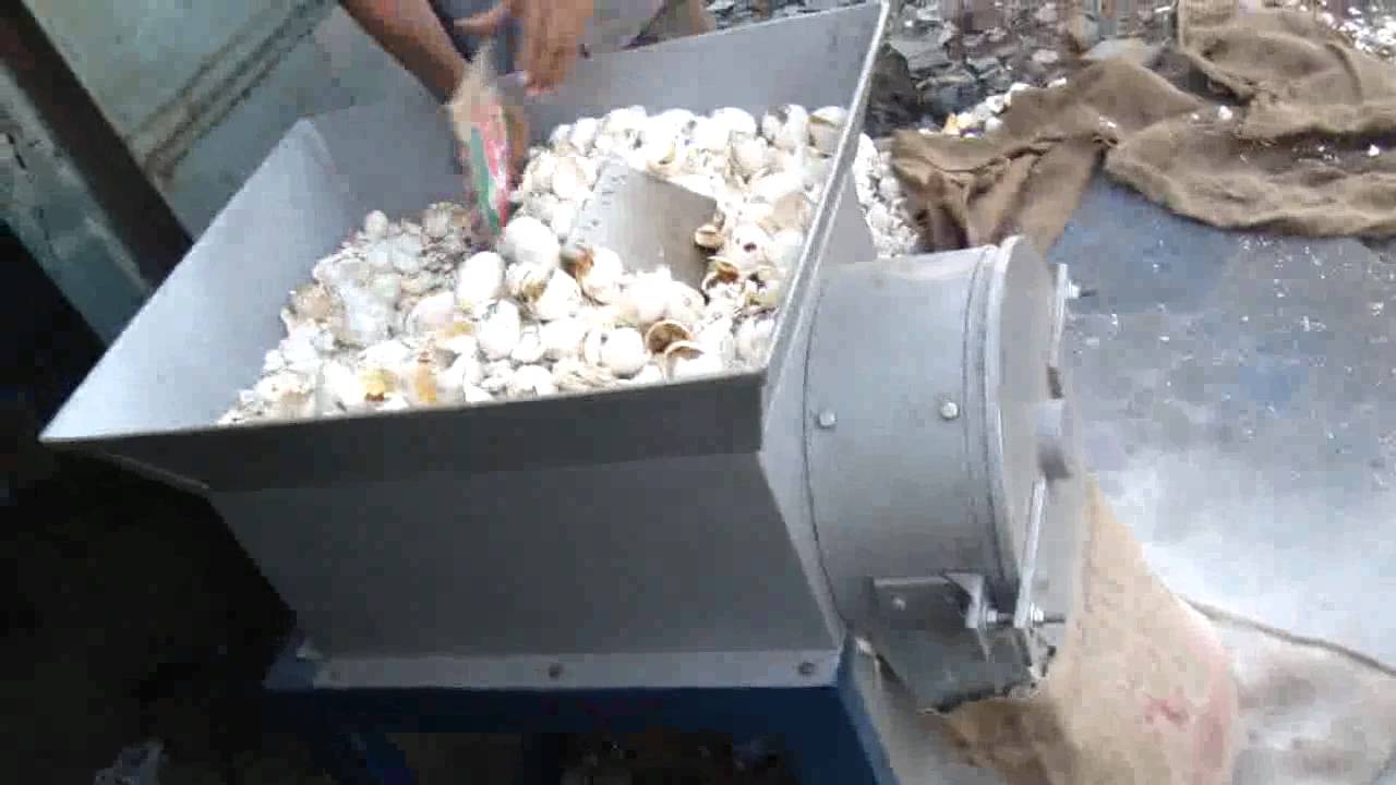 eggshell powder machine.avi
