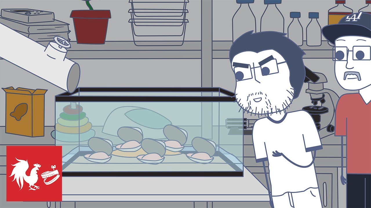 Clammed Up - Rooster Teeth Animated Adventures