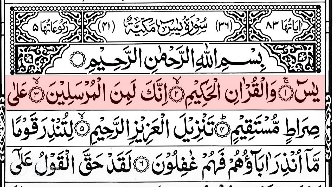 Surah Yaseen Surah Ar Rahman | Best Quran Recitation | Surah Yasin Tilawat | Episode_002