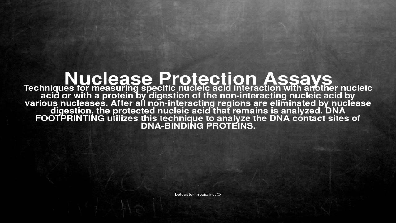 Medical vocabulary: What does Nuclease Protection Assays mean