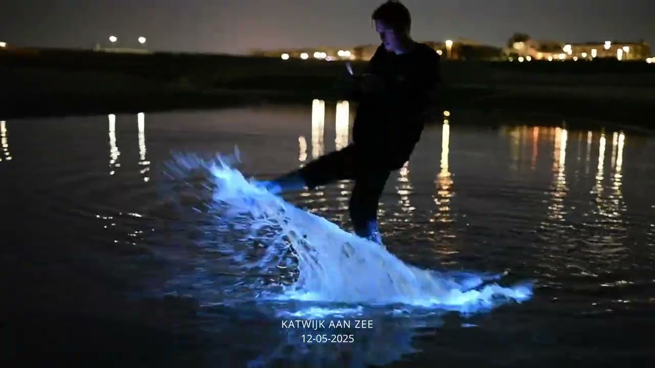 Zeevonk op 12 Mei 2025, Katwijk Aan Zee - Bioluminescent plankton