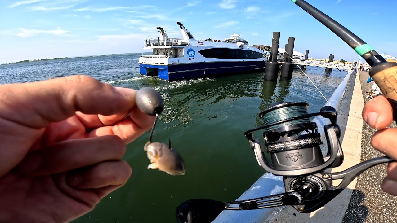 The Knocker Rig. Sand Flea Summer Fishing Top Bait
