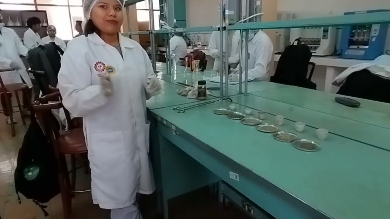 Determinacion de % de cenizas en 6 variedades de Cañihuaco 
