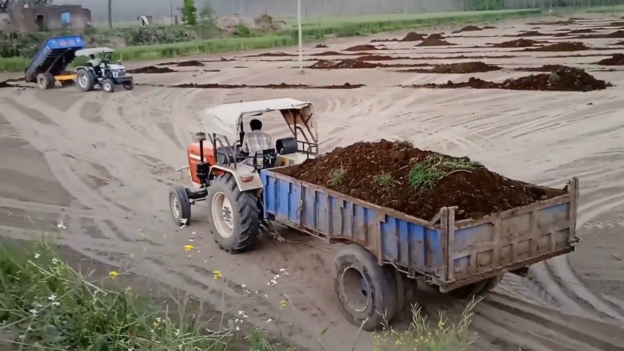 #ਖੇਤ #Dahera #kheta #vich pya 2ekad vich #30 trale pye #theka fadea #dahera paun #vaste#mahindra 605