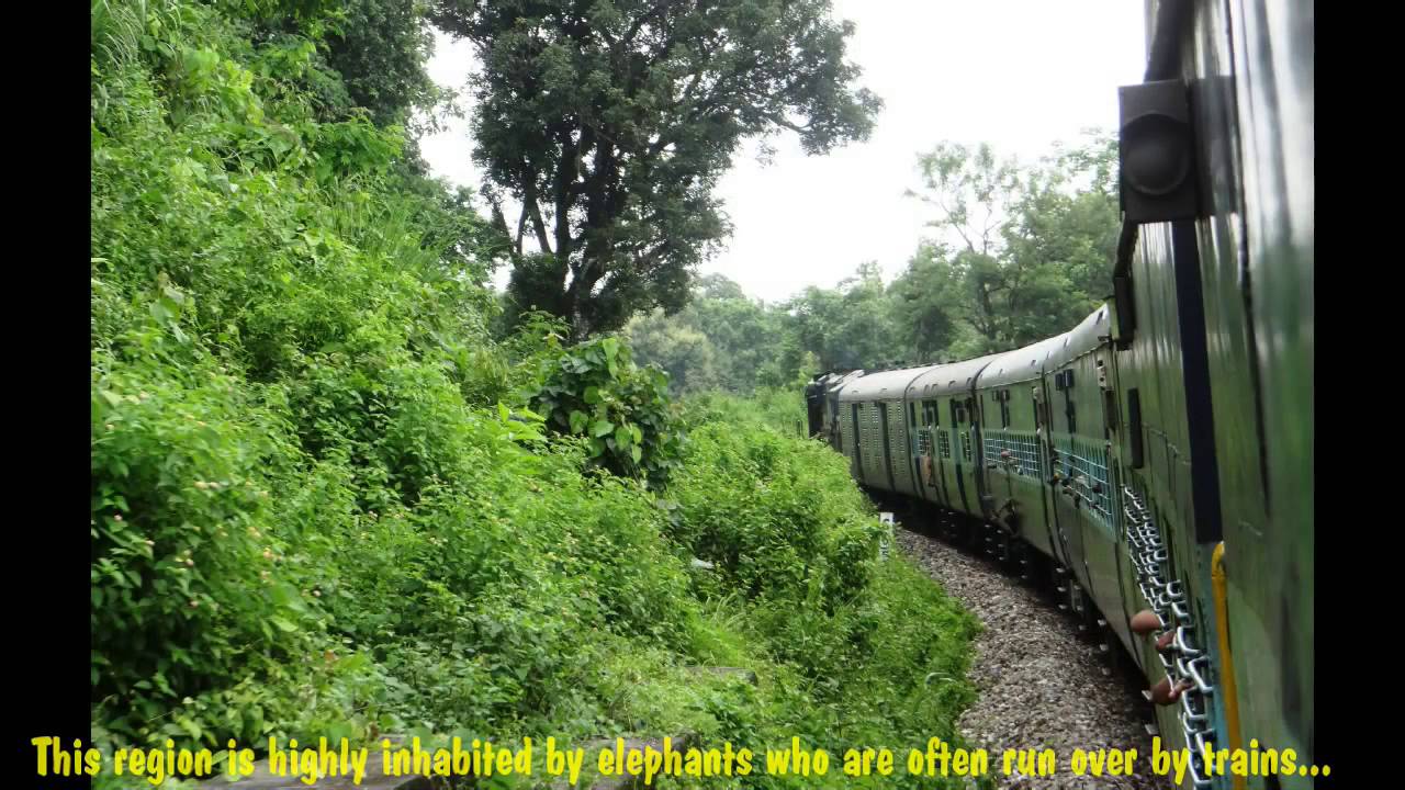 Indian Railways in MONSOON : Incredible DOOARS Journey through Wildlife Sanctuaries