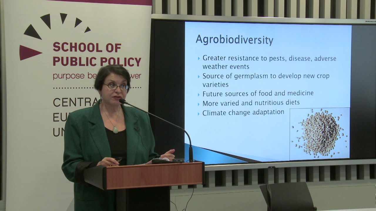 Carmen Gonzalez on The Right to Food in a Climate-Constrained World