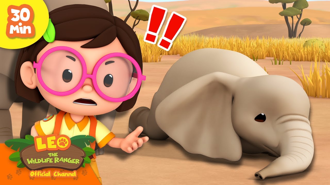 BABY ELEPHANT TRIPPED AND FELL?! 🐘 | Giant Animals | Leo the Wildlife Ranger | Kids Cartoon