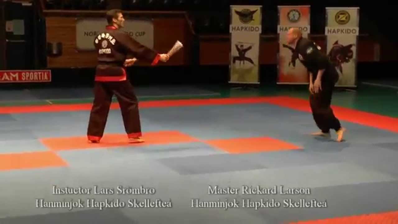 nordic hapkido cup 2 master show.film