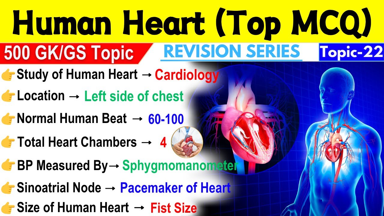 Human Heart Biology | Science Gk | Human Heart & Its Function | Human Heart GK MCQ | By Ravi Aditi |