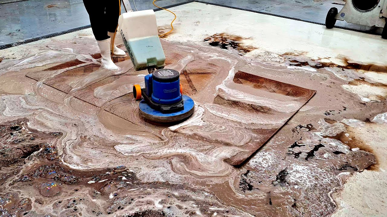 Silent Bliss: ASMR Carpet Cleaning and scraping Sounds