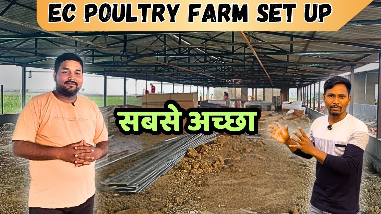 सबसे अच्छा Ec Poulter फार्म कैसे बनायें | Ec Poultry Farm