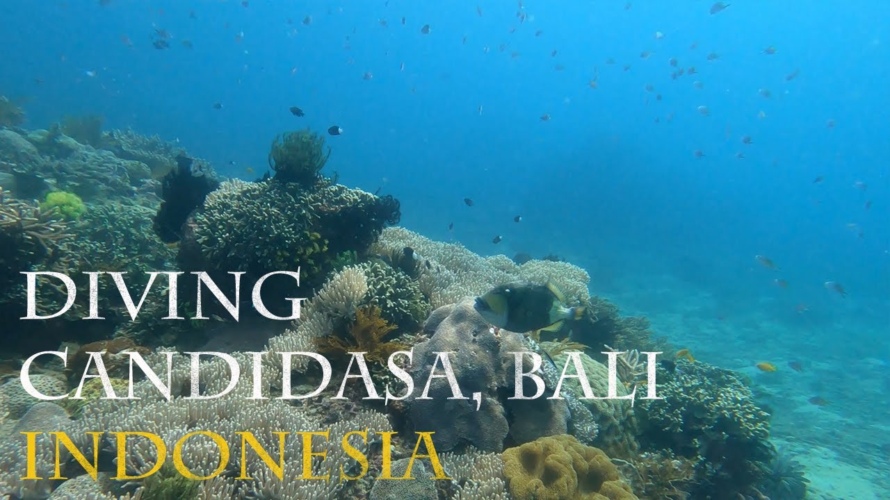 Diving Candidasa, Bali