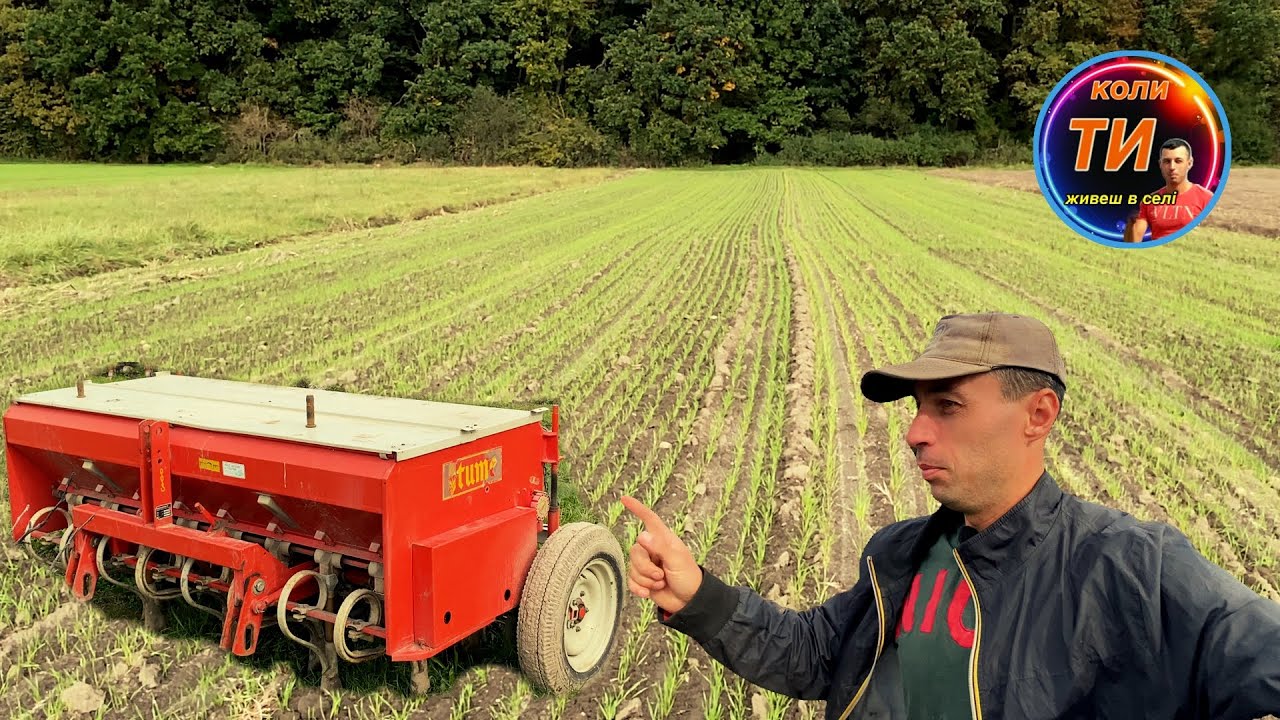 Що натворила фінська сівалка Tume🔥огляд посівів🌾плюси та мінуси👍