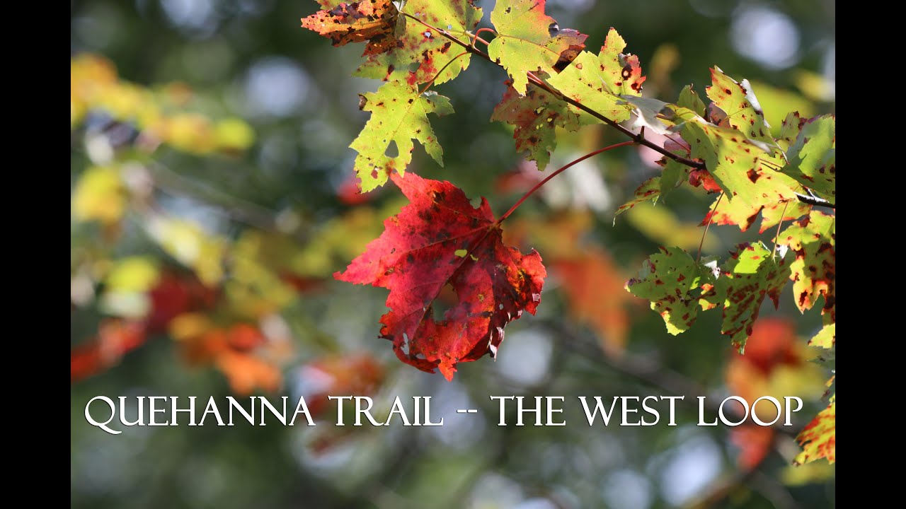 Quehanna Trail -- West Loop