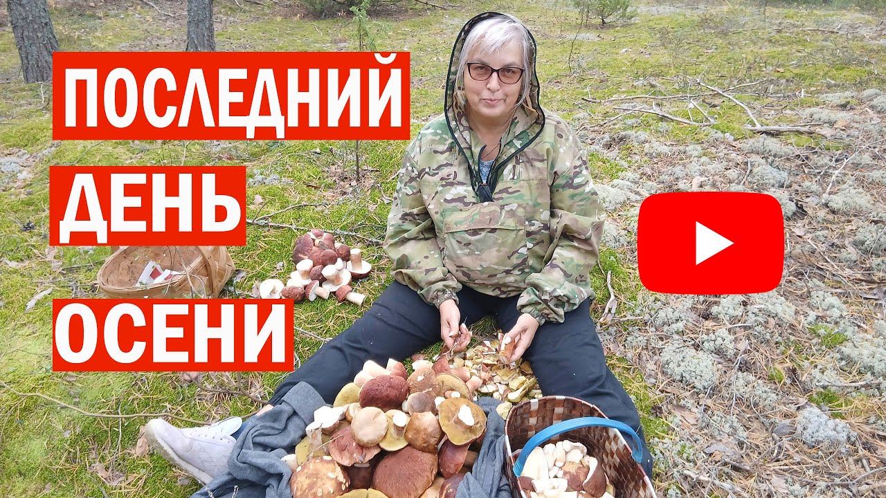 Последний день осени