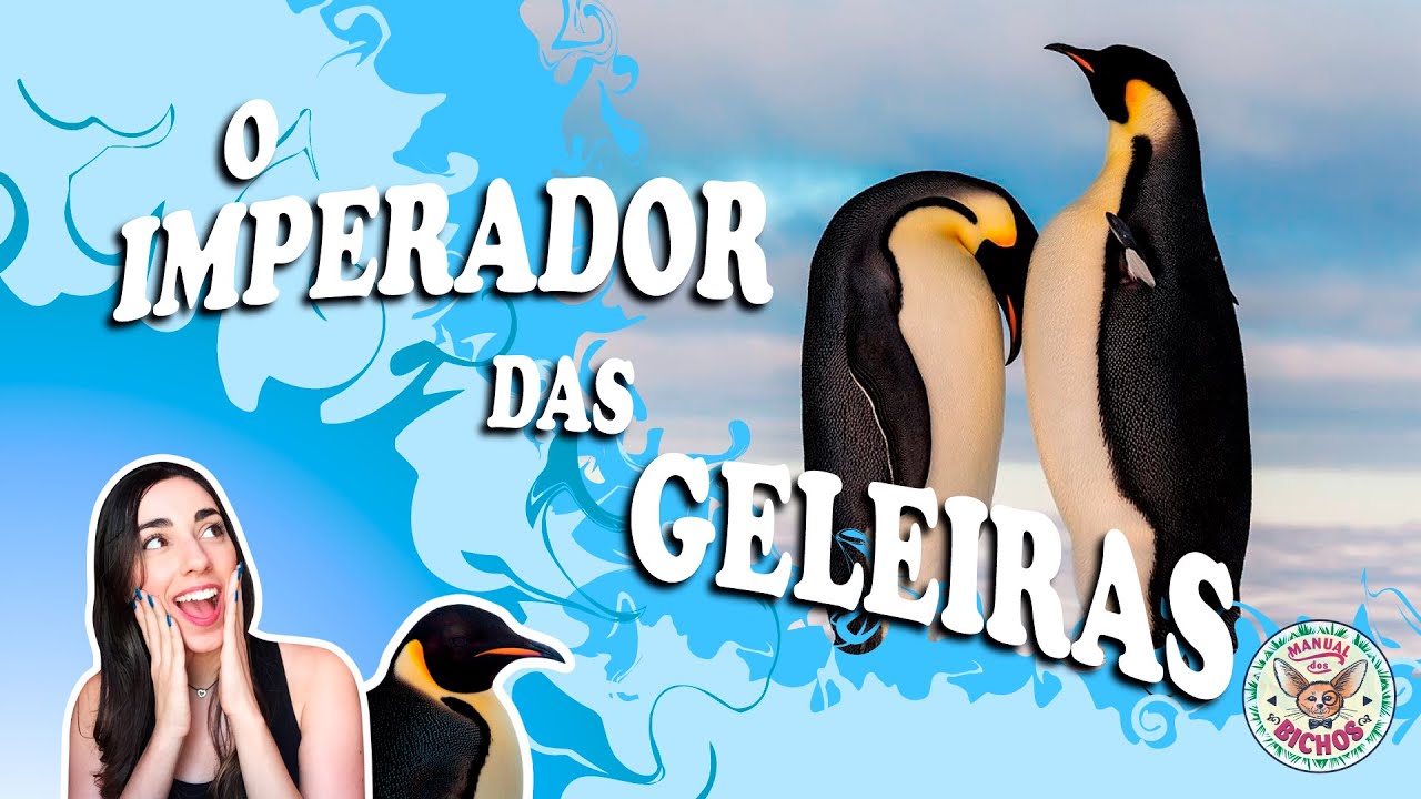 CONHEÇA O MAIOR DE TODOS OS PINGUINS!!! - PINGUIM-IMPERADOR