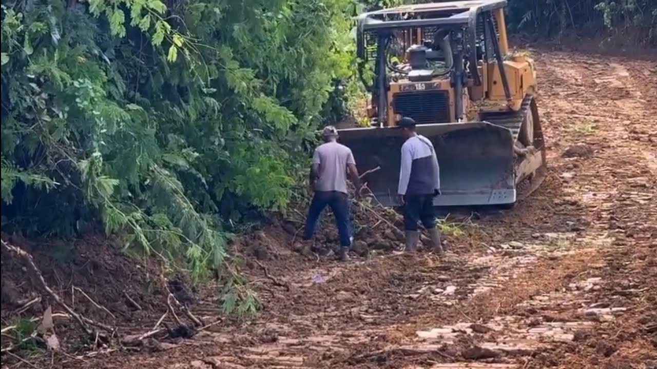 dozer kerja jalan hutan