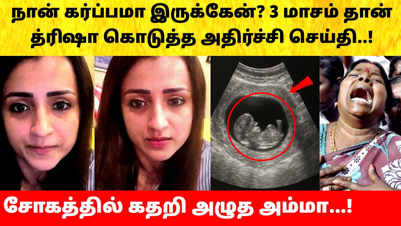 Trisha reveals Pregnancy after Thalapathy Vijay Wife Sangeetha divorce issue | Latest News | TVK