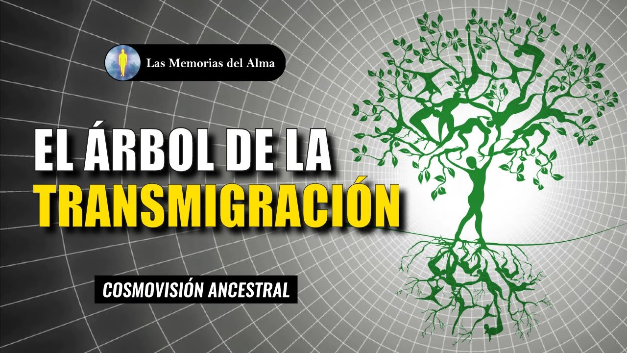 🌳  EL &Aacute;RBOL DE LA TRANSMIGRACI&Oacute;N 🦋✨