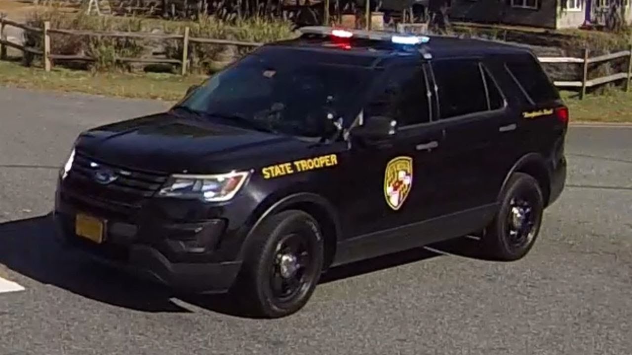 Motor Vehicle Collision on Nanticoke Road