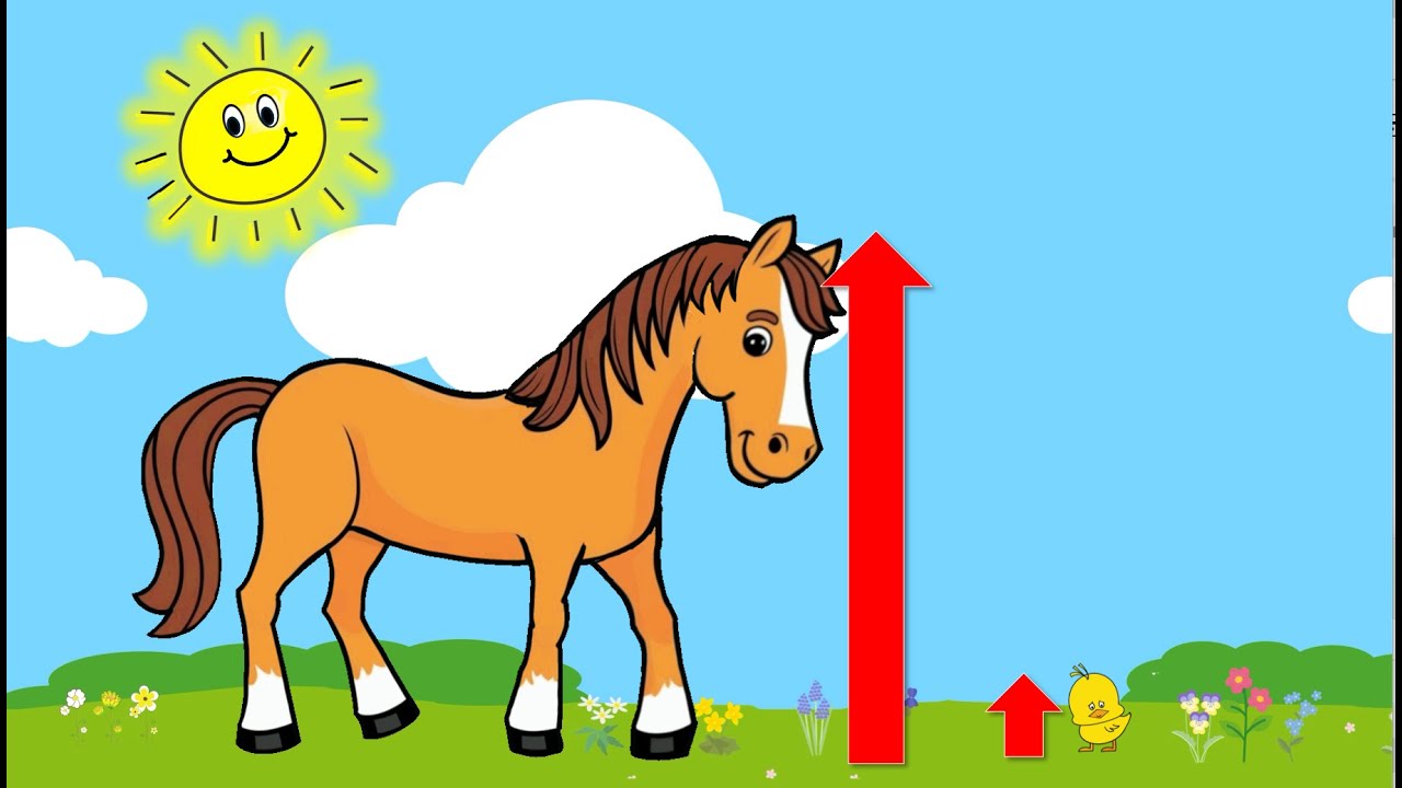 ANIMALES GRANDES Y PEQUE&Ntilde;OS 🌀  APRENDE TAMA&Ntilde;OS /VIDEOS EDUCATIVOS PARA NI&Ntilde;OS.