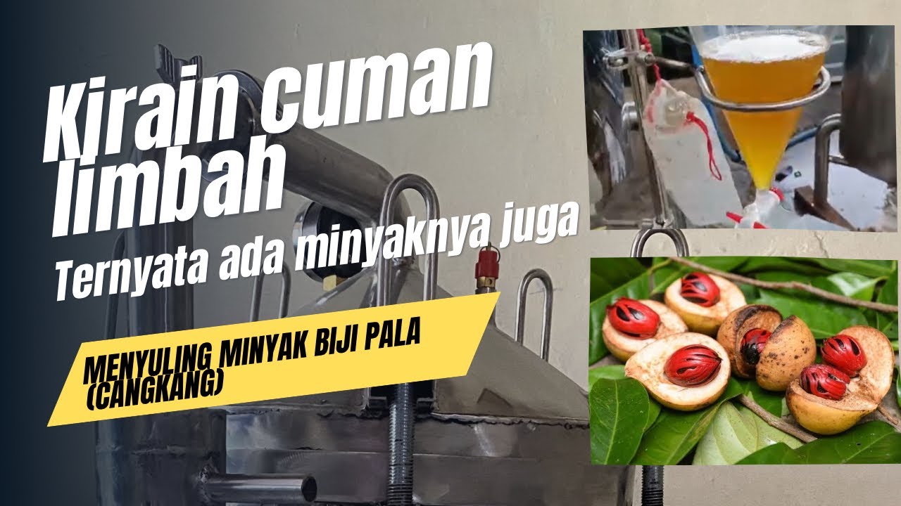 menyuling minyak atsiri biji pala (cangkang) / nutmeg oil menggunakan penyulingan destilasi mini