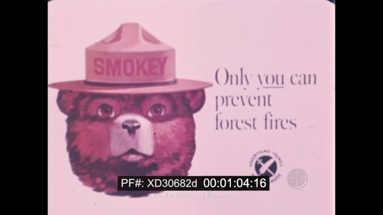 1970s SMOKEY THE BEAR   U.S. FOREST SERVICE PSA  TV COMMERCIAL  XD30682d