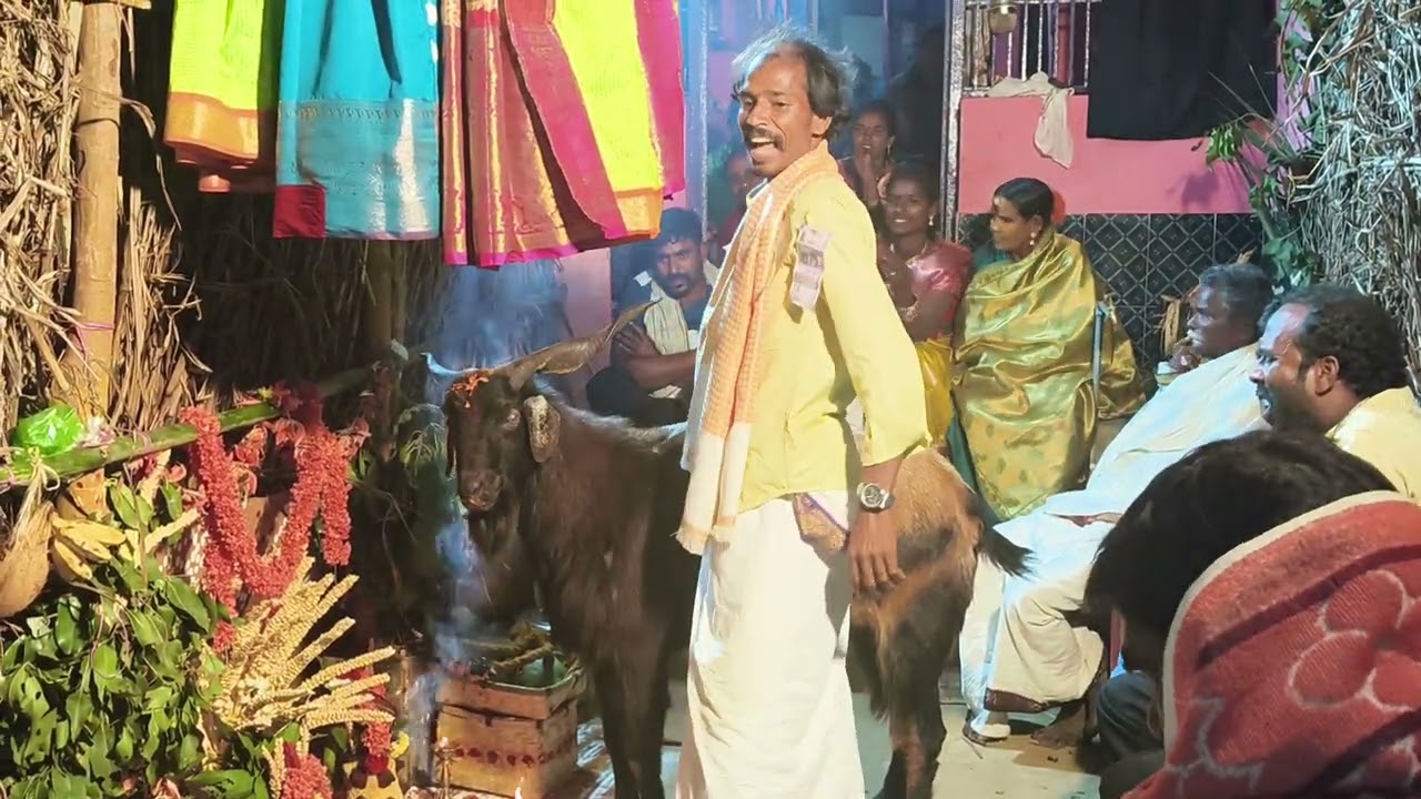 Golla  చదువు joga rao #gollachadhuvu#jogarao#subscribe #video #viral video