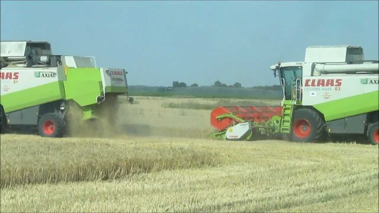 Ciszöv 49 KFT Cibakháza 2012 Wheat Harvest [ 3x Claas Lexion 450 ] HD