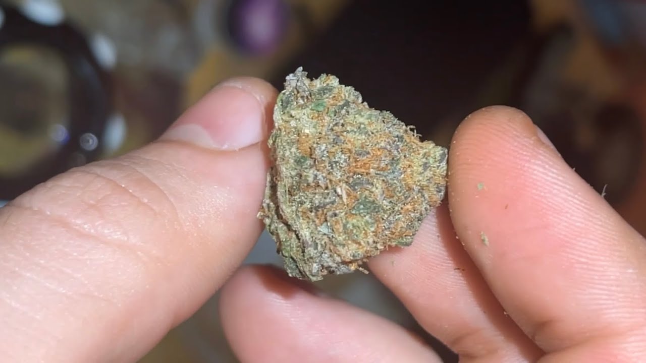 Candyland Strain Review!!