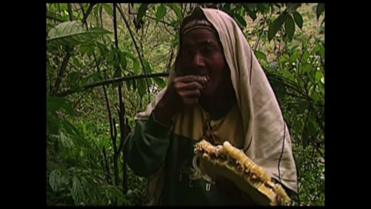 The Gurung Honey Hunters Of Nepal