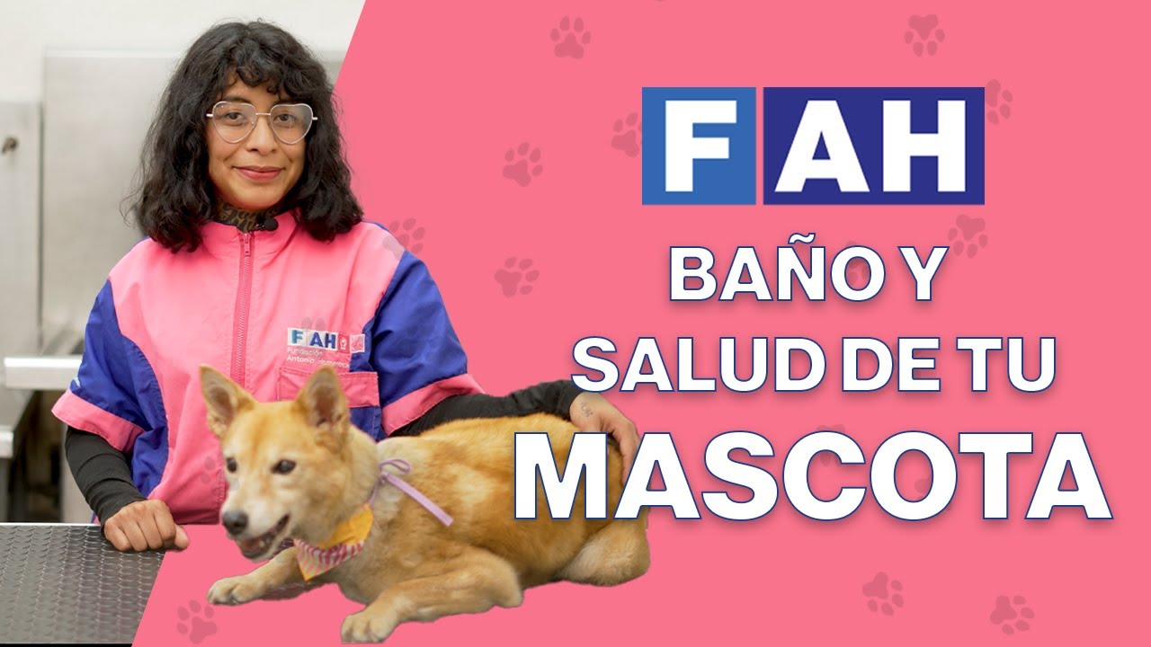 Importancia del Baño en Mascotas: Beneficios, Frecuencia y Salud de la Piel | FAH