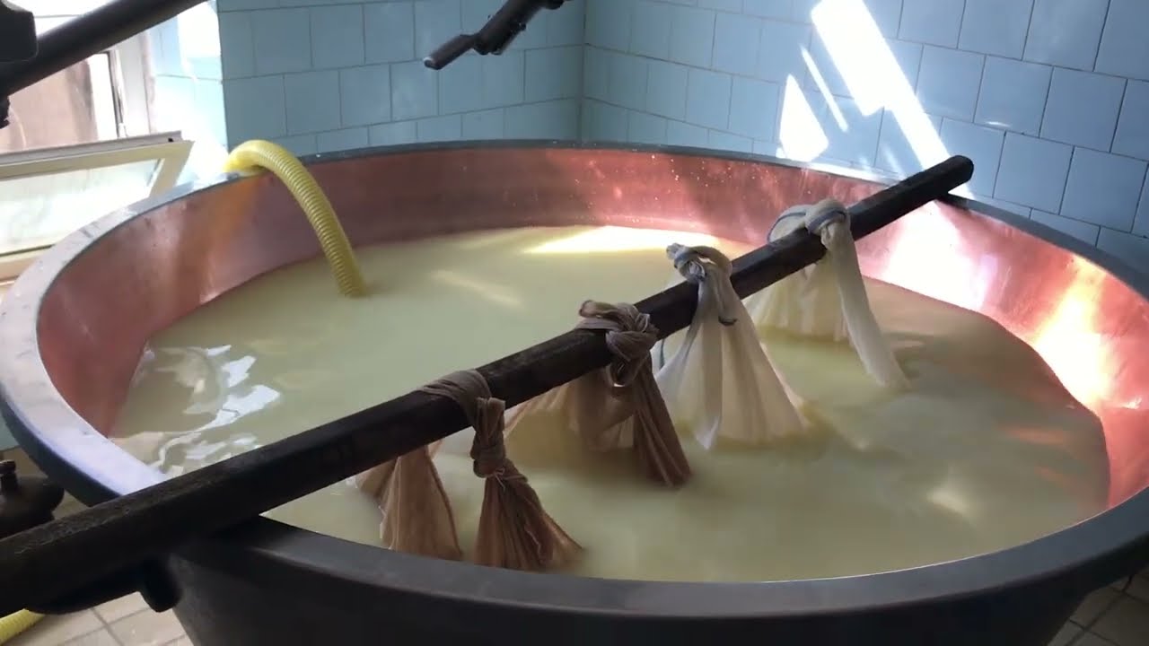 Reggiano Parmesan factory part one cheese making 