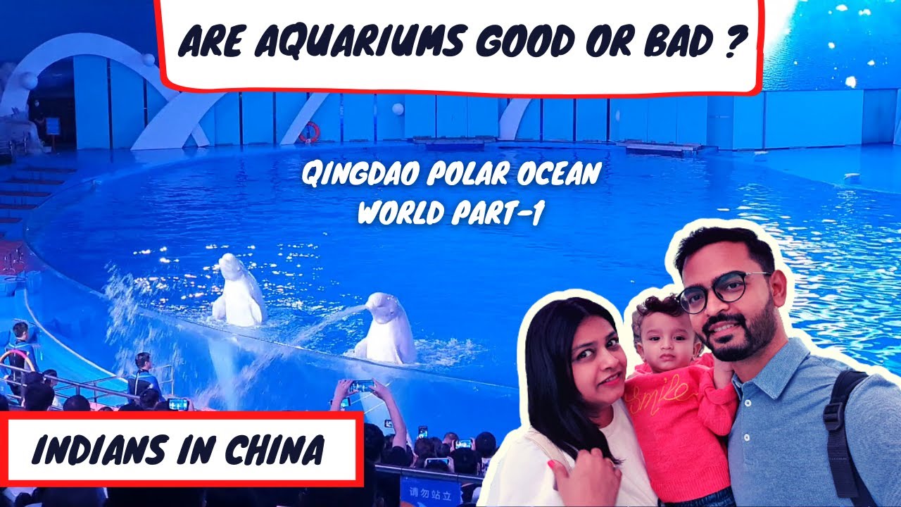 Are Aquariums bad? | Qingdao Polar Ocean World part-1 | Dolphin show| Indians in china | China Vlog