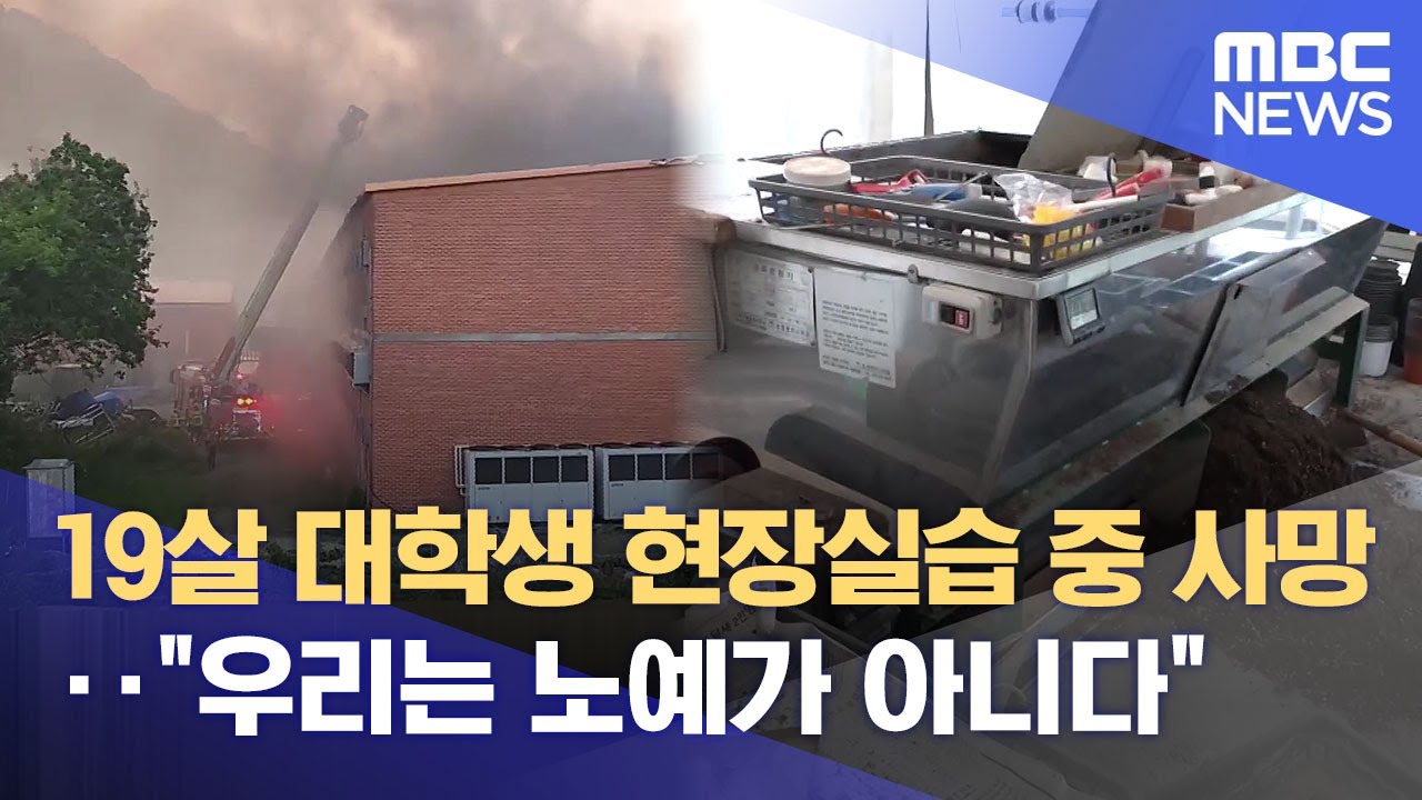 농수산대, 실습 나갔다 숨진 19살 대학생‥ 3년 만에 비극 '반복' (2025.05.20/뉴스데스크/전주MBC)