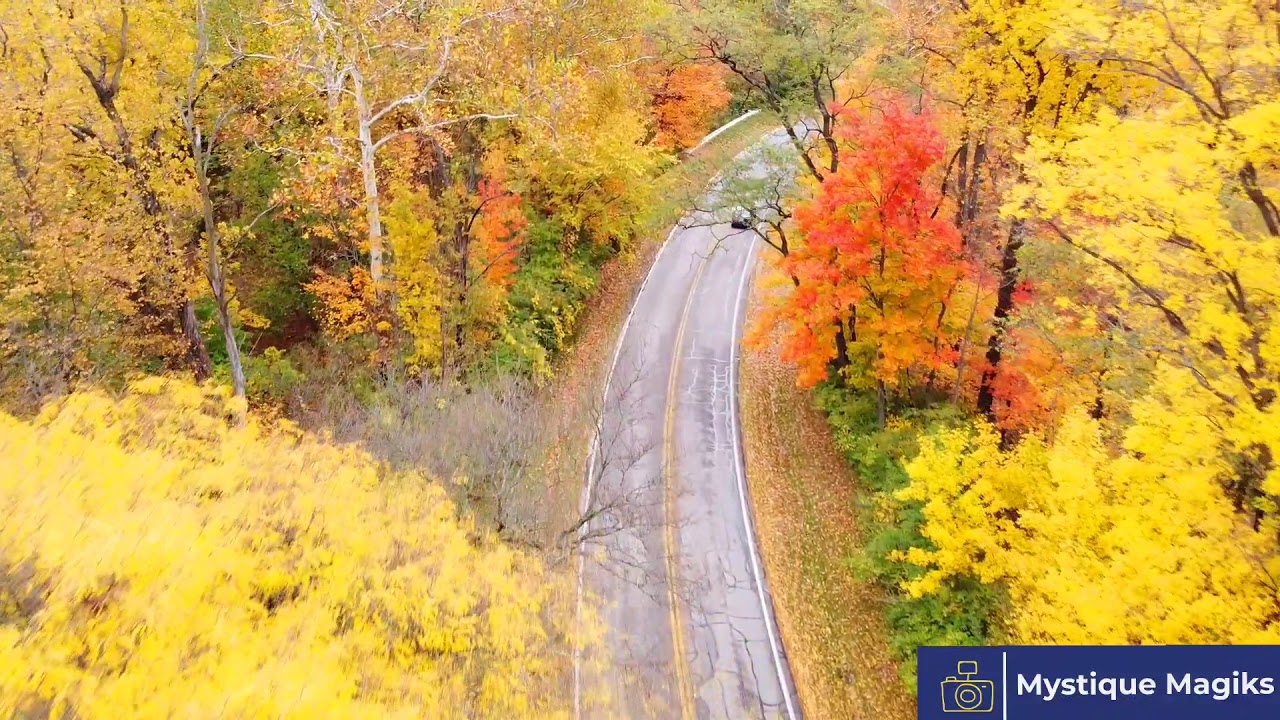 Fall Foliage Ohio