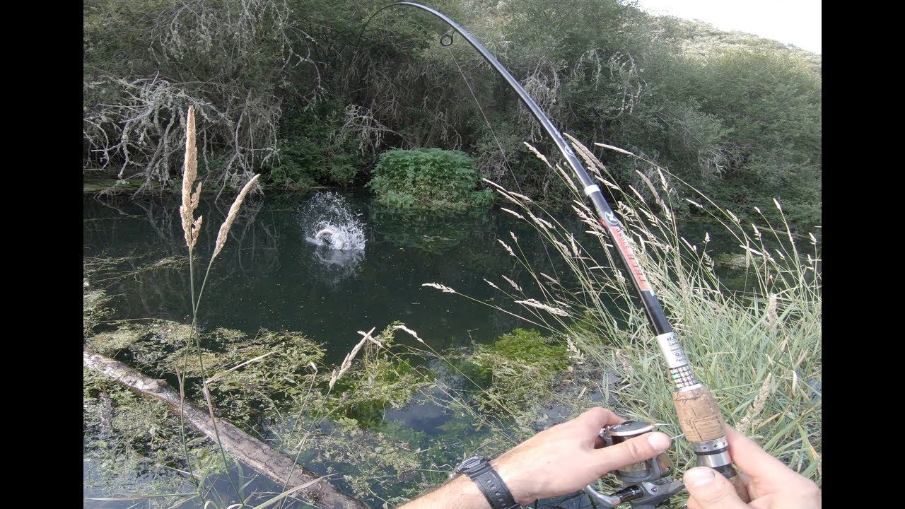 Pesca en la Cola de un embalse | Primer Capitulo | explorando la zona