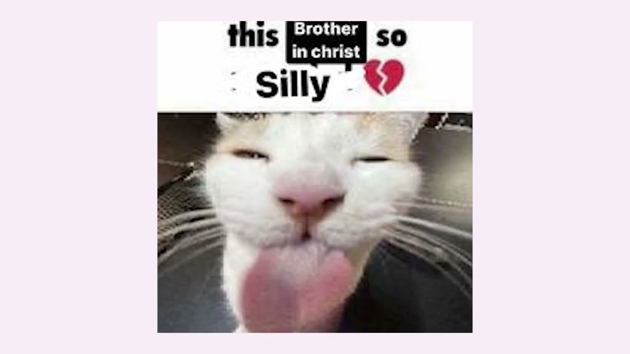 Sillyness