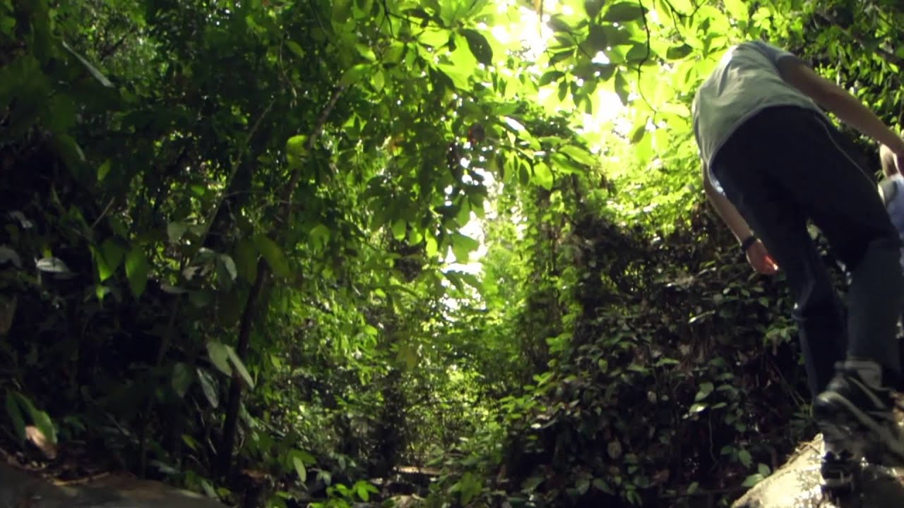Gaya Island Resort - Nature