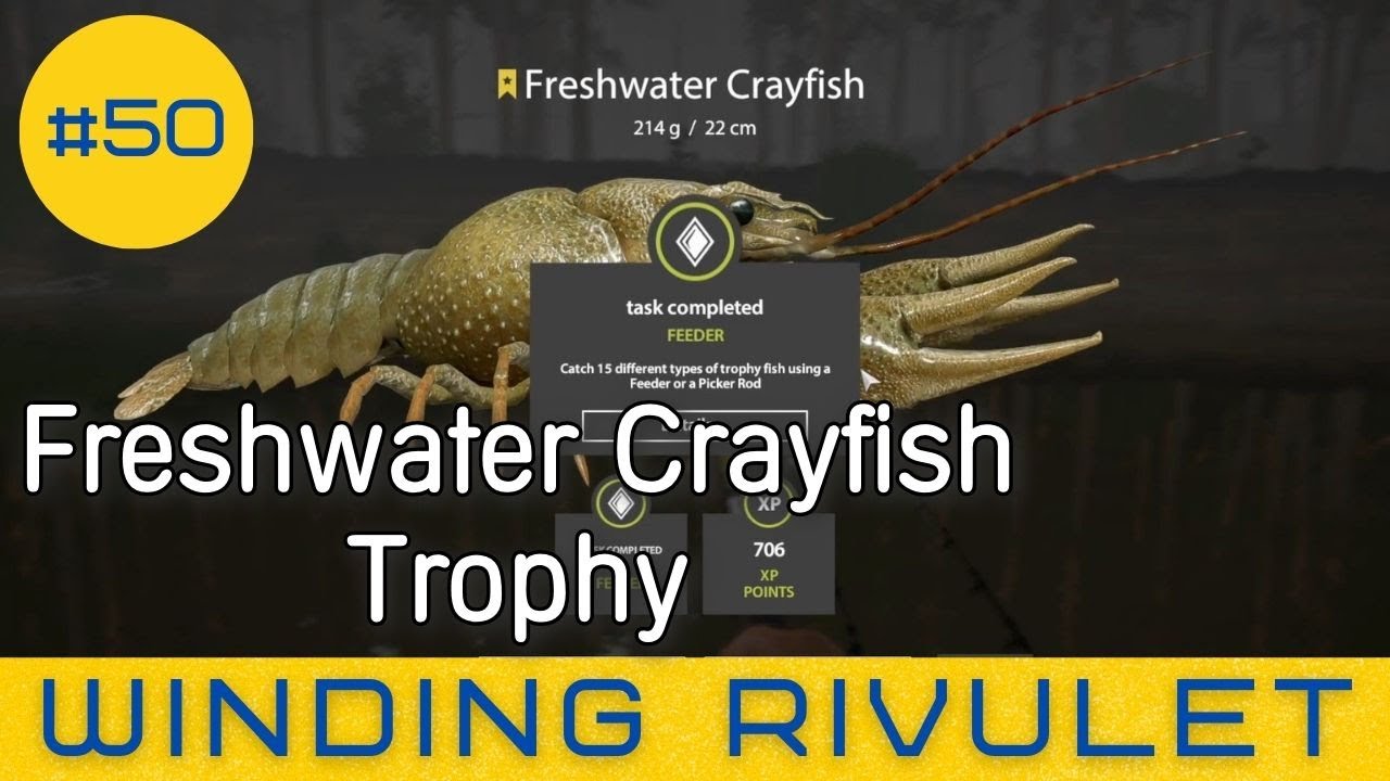 Russian Fishing 4 - Winding Rivulet - Freshwater Crayfish Trophy - #50