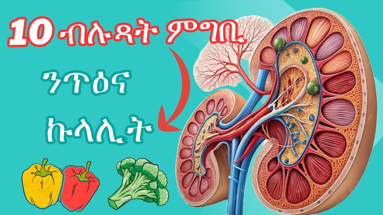 ንጥዕና ኩላሊት ዝሕግዙ 10 ብሉጻት ምግብታት፡ Top 10 best foods for healthy kidney