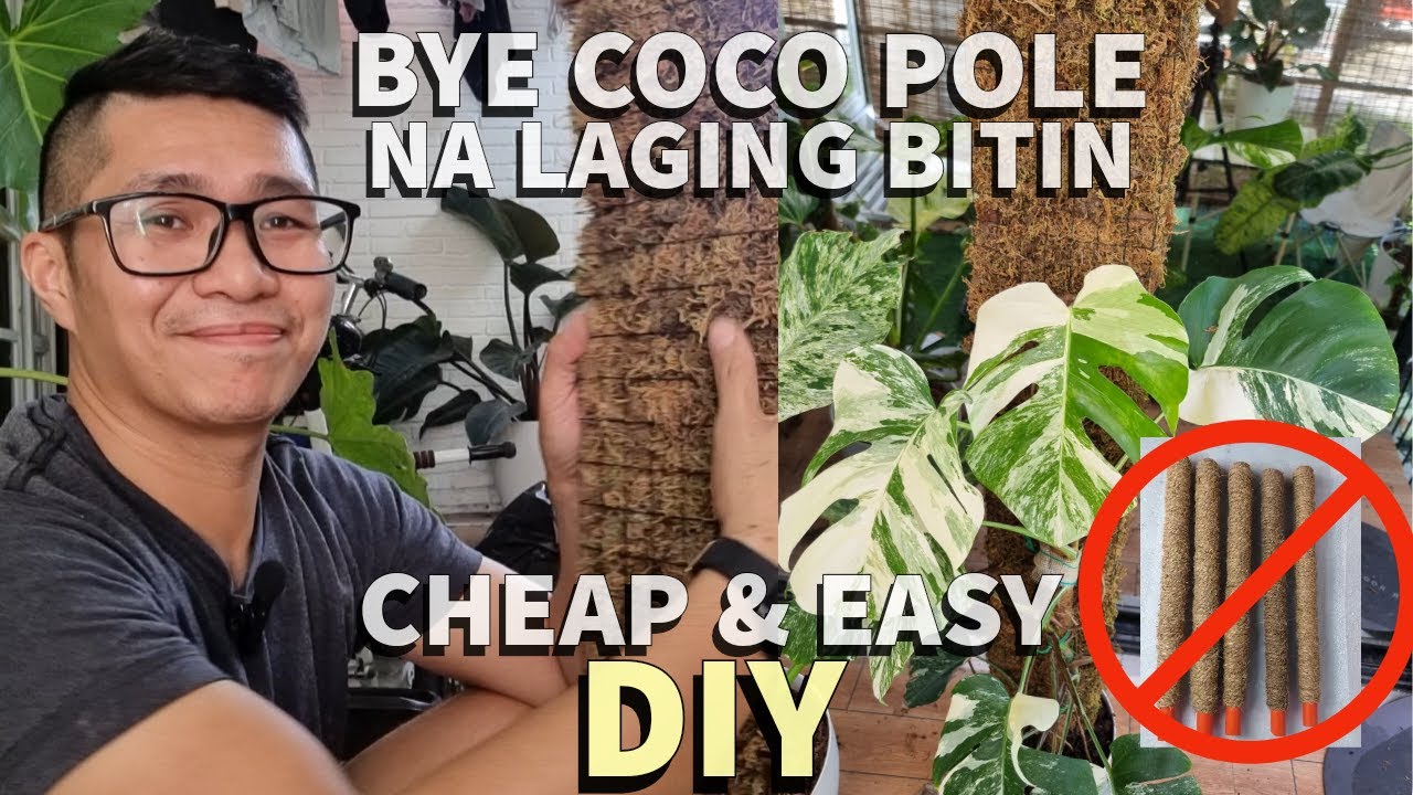 Laging Bitin Ang Coco Pole At Ang Mahal Ng Moss Plank - Kaya Gumawa Nalang Ako - Madali Lang Pala!